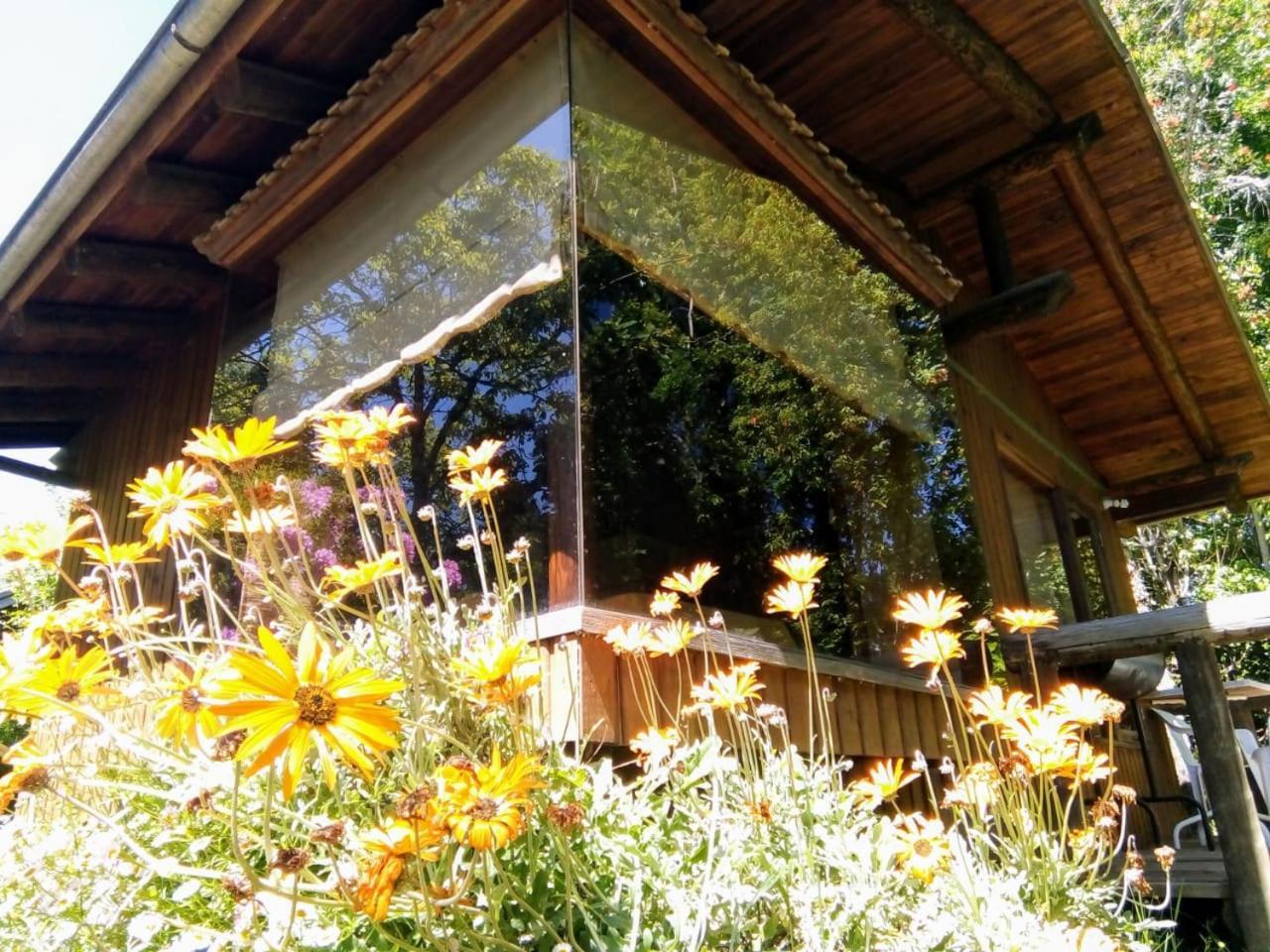 Cabanas El Cipres Pucon Exterior photo